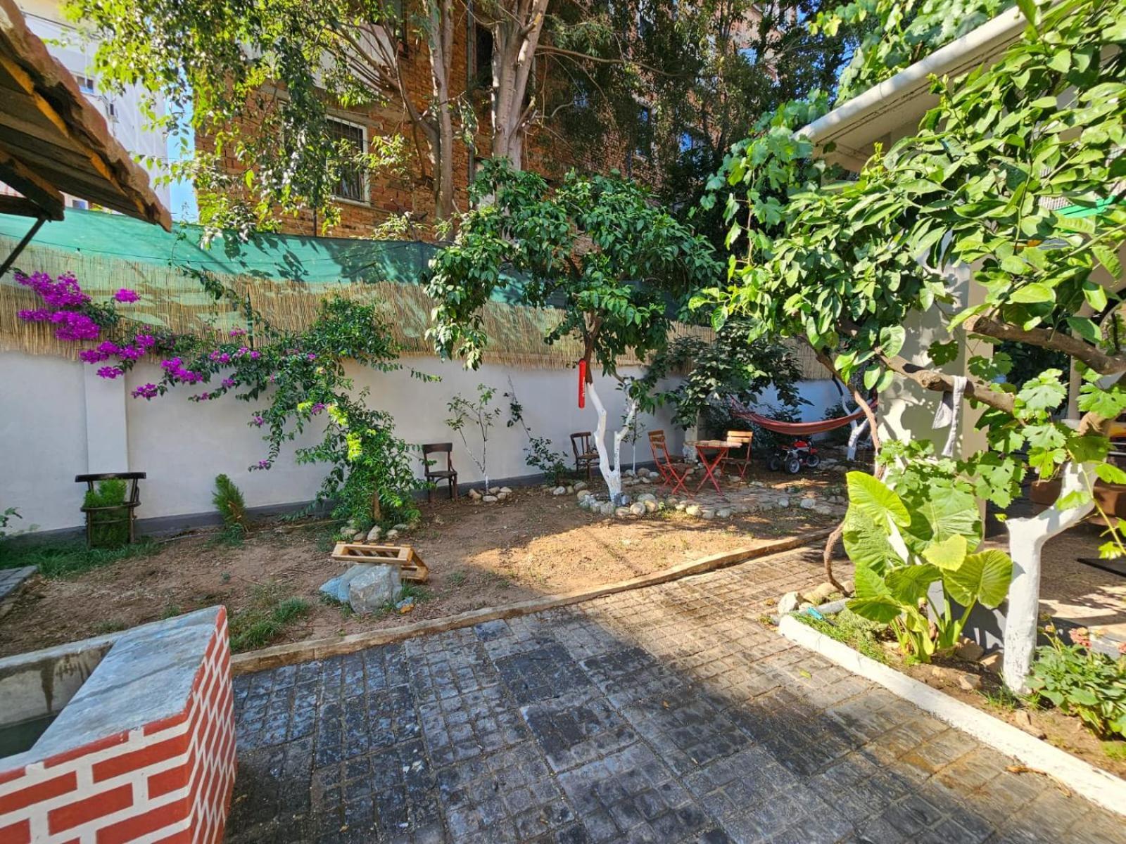 Lemon House Hostel *